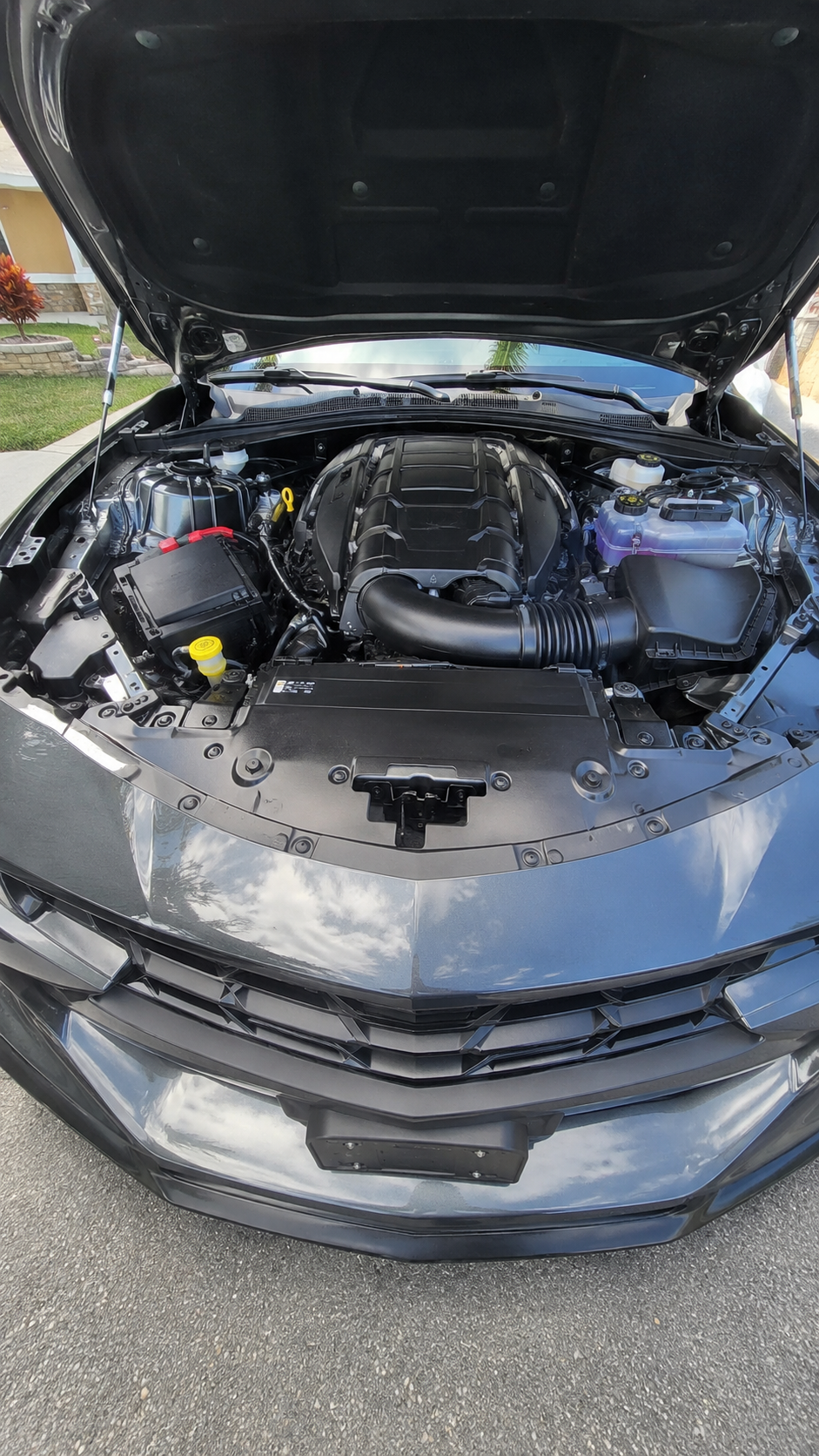 Camaro engine bay detailed and clean